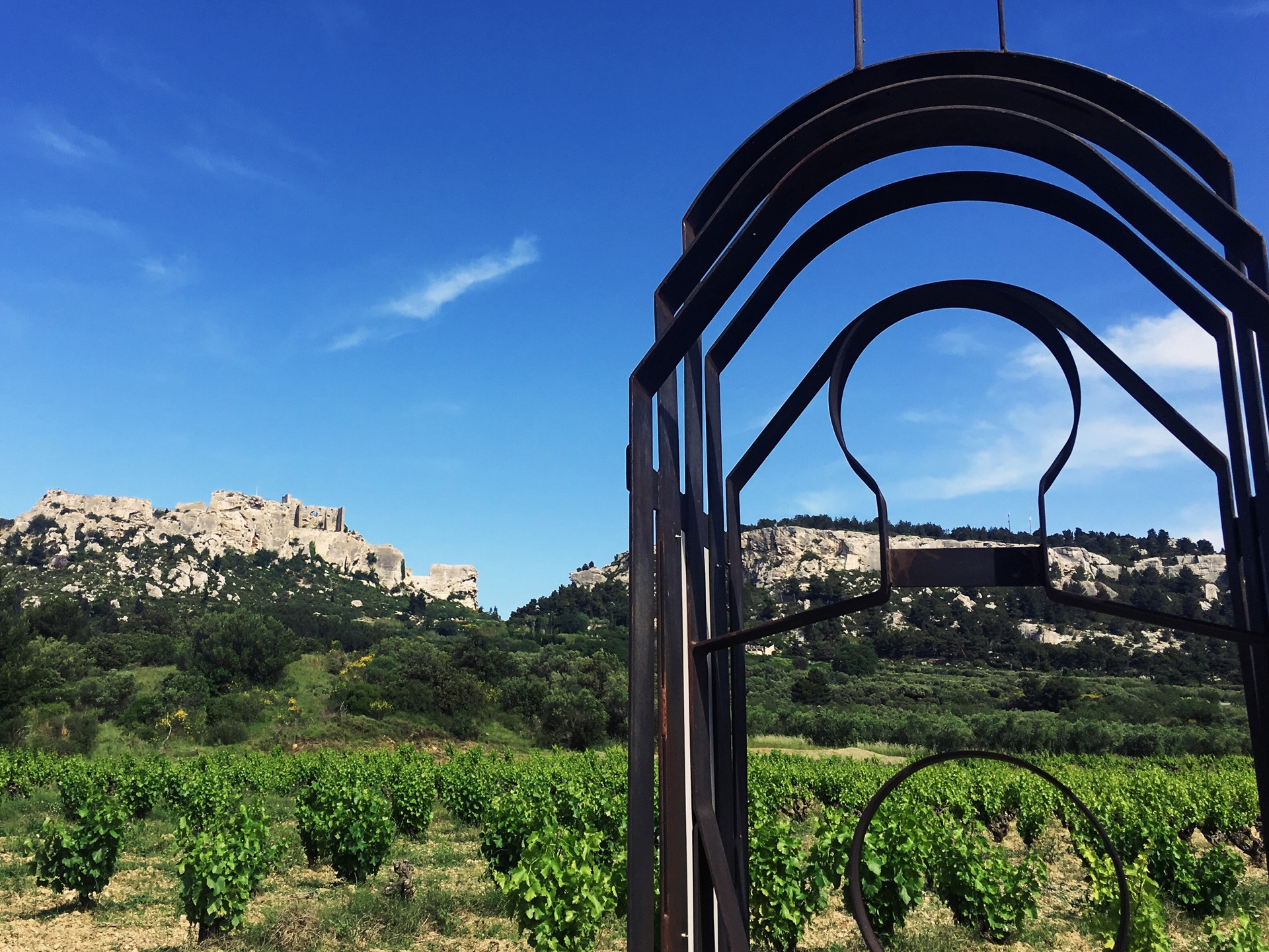 Mas Sainte Berthe - photo 5