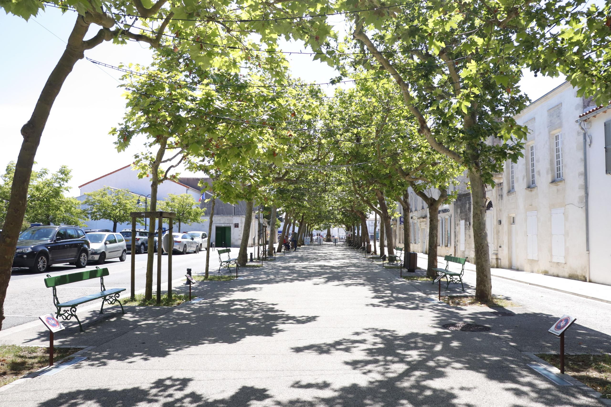 Cours Félix Faure