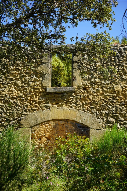 Olivier, Jouques - photo 10