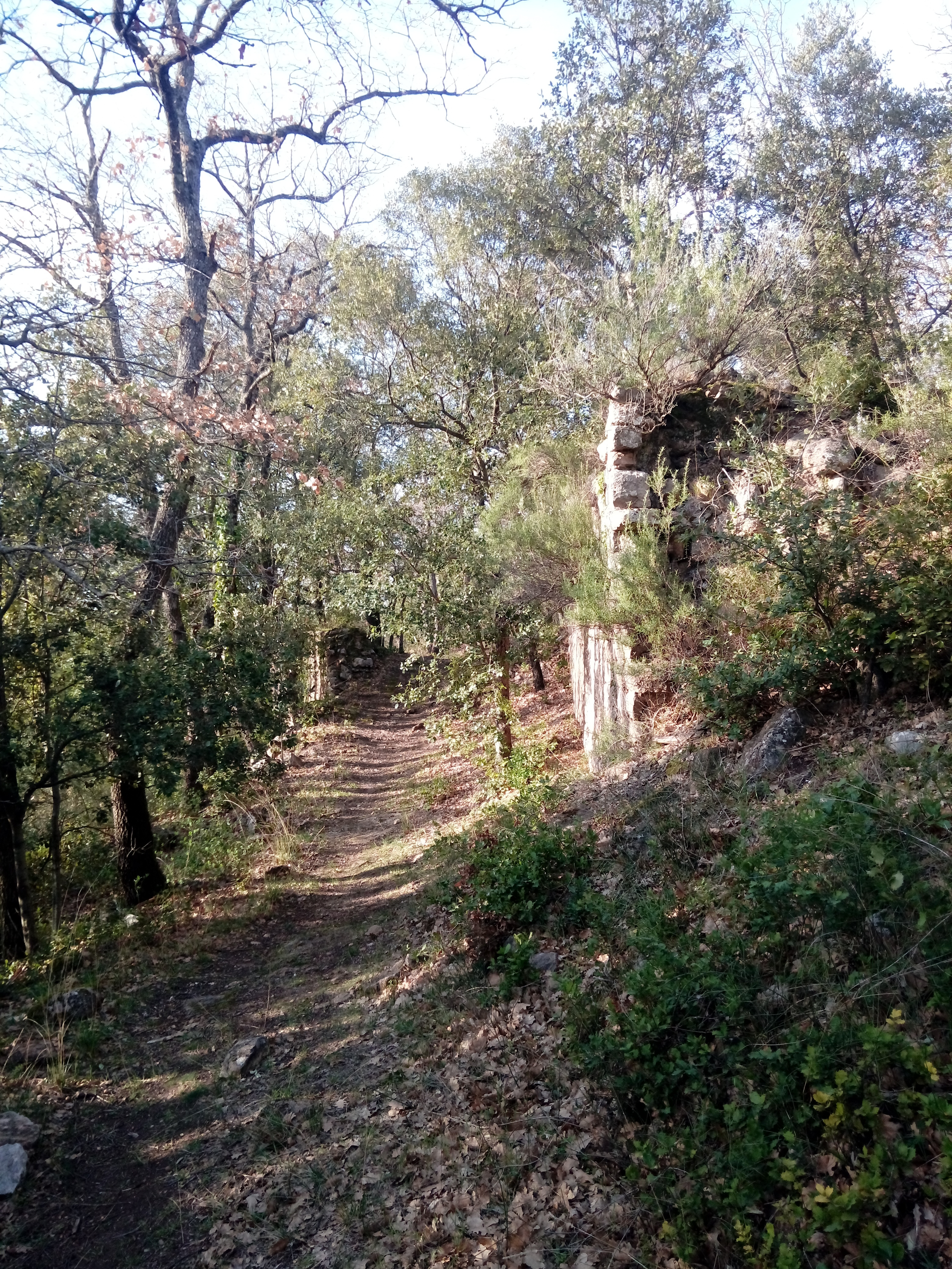 Randonnée "Le Castrum Saint-Michel", Trets - photo 6