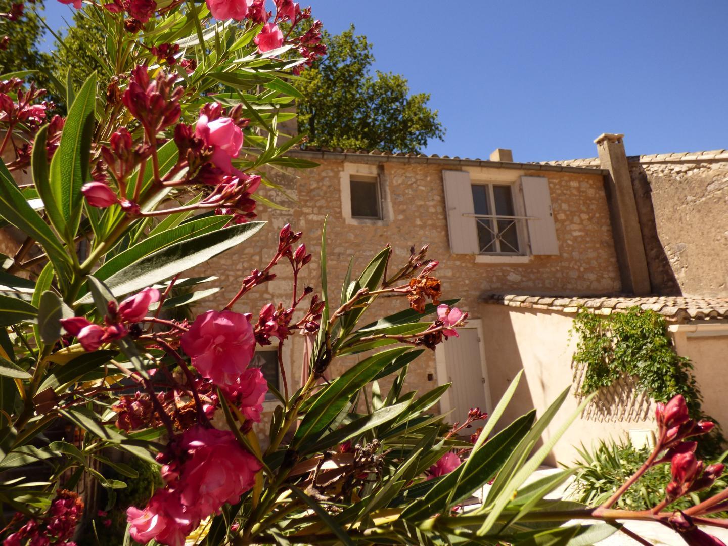 Le Mas Saint Roman - La Berrugueto, Maussane-les-Alpilles - photo 22