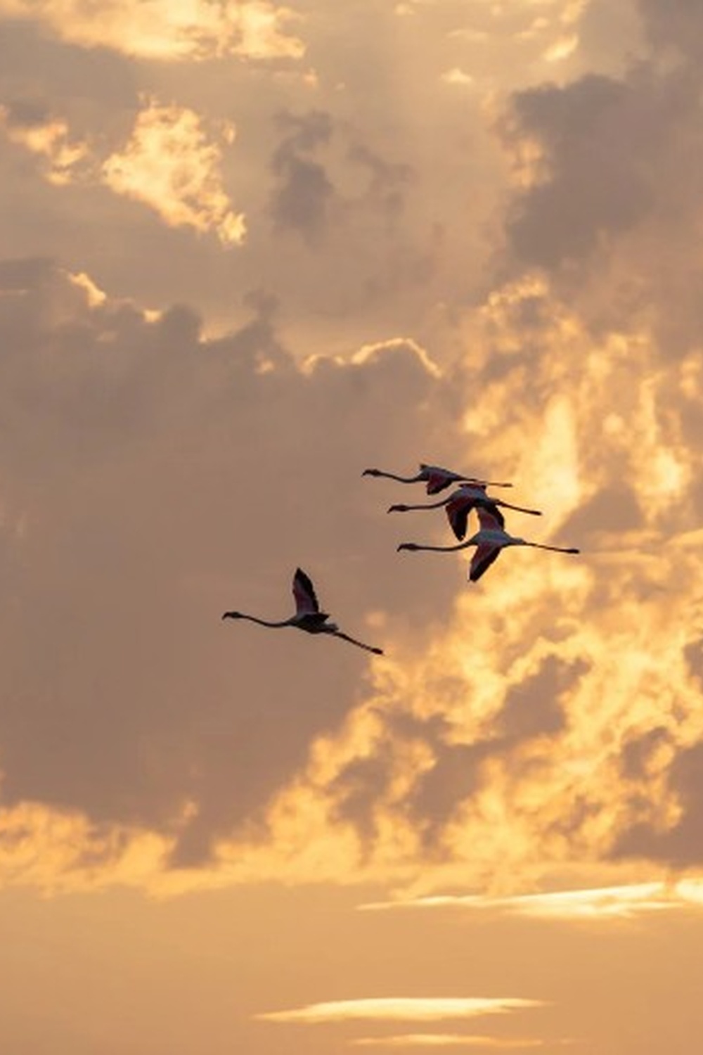 Lever du soleil dans le choeur de l&rsquo;aube