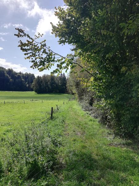 Tour du Lac d'Aiguebelette à cheval_Entre-deux-Guiers