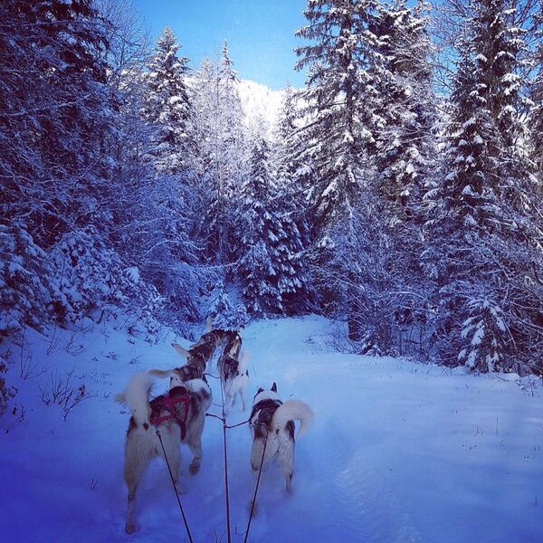 Baptême en traineaux
