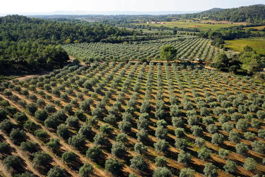 Domaine du Jasson