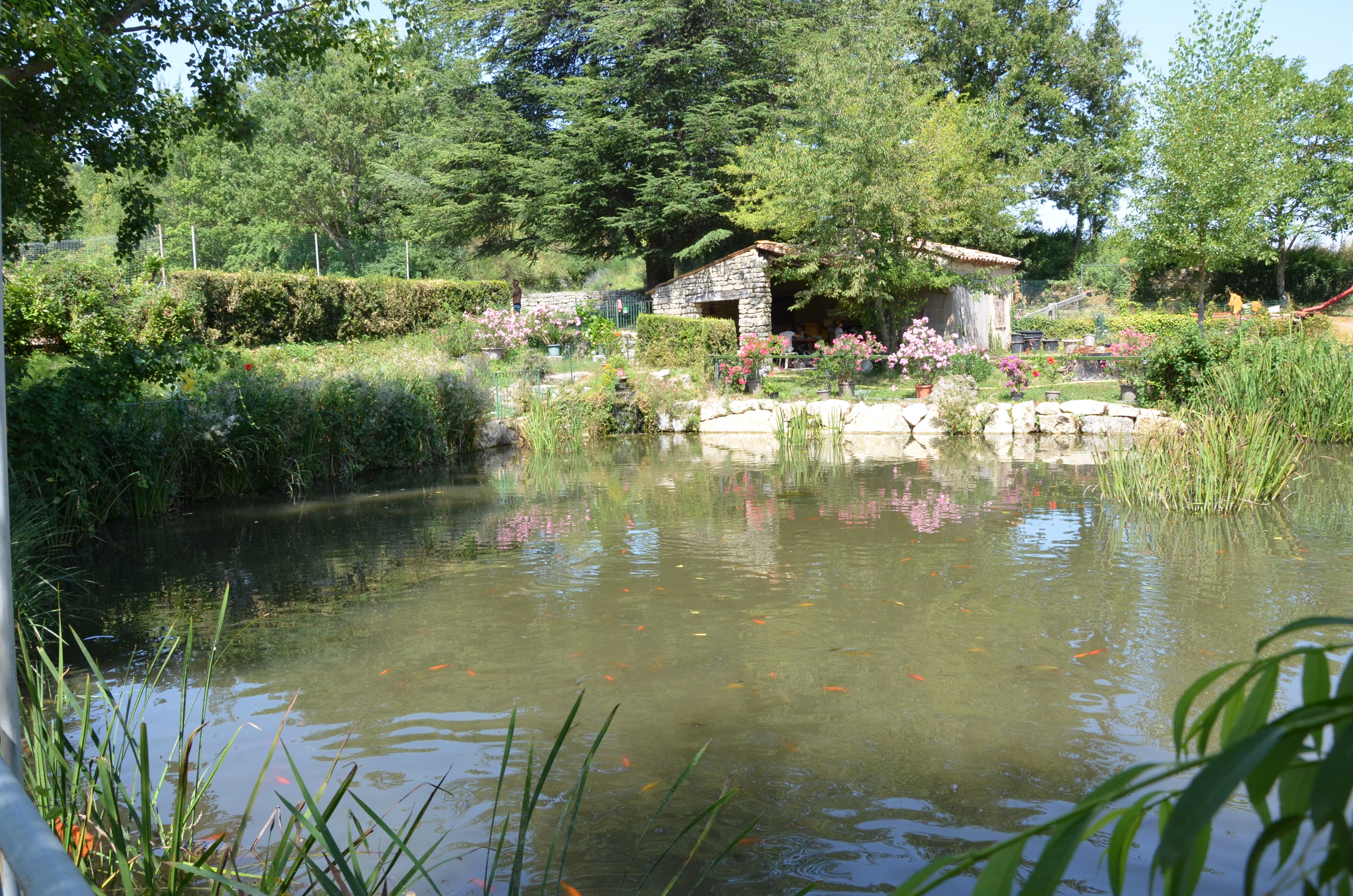 Camping Les Bardons photo 4