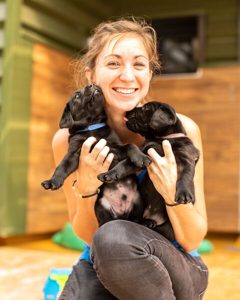 Ecole de chiens guides pour aveugles et malvoyants de Paris 