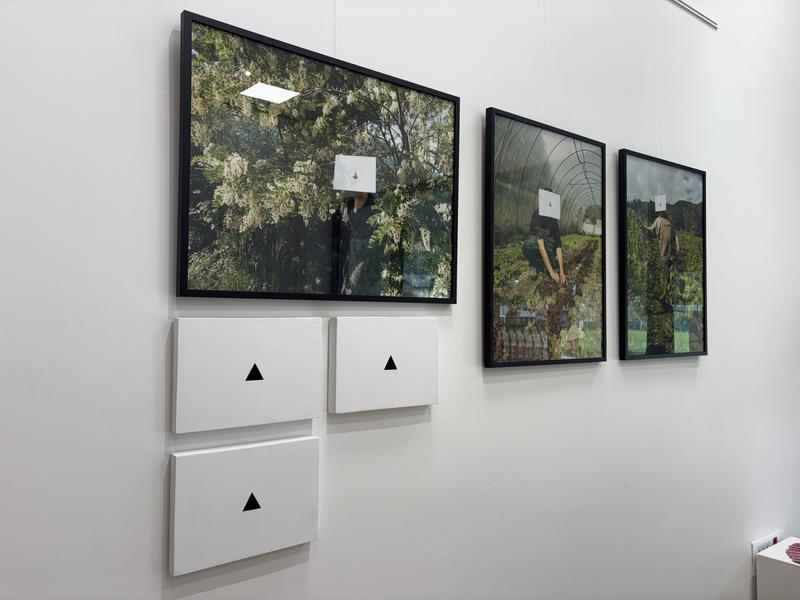 Exposition - Goûts du paysage / Paysage du goûts