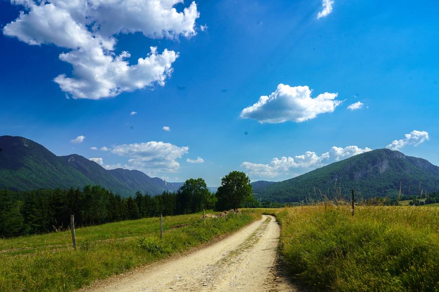 Chemin de terre serpentant entre des prairies verdoyantes, encadré par des montagnes boisées.