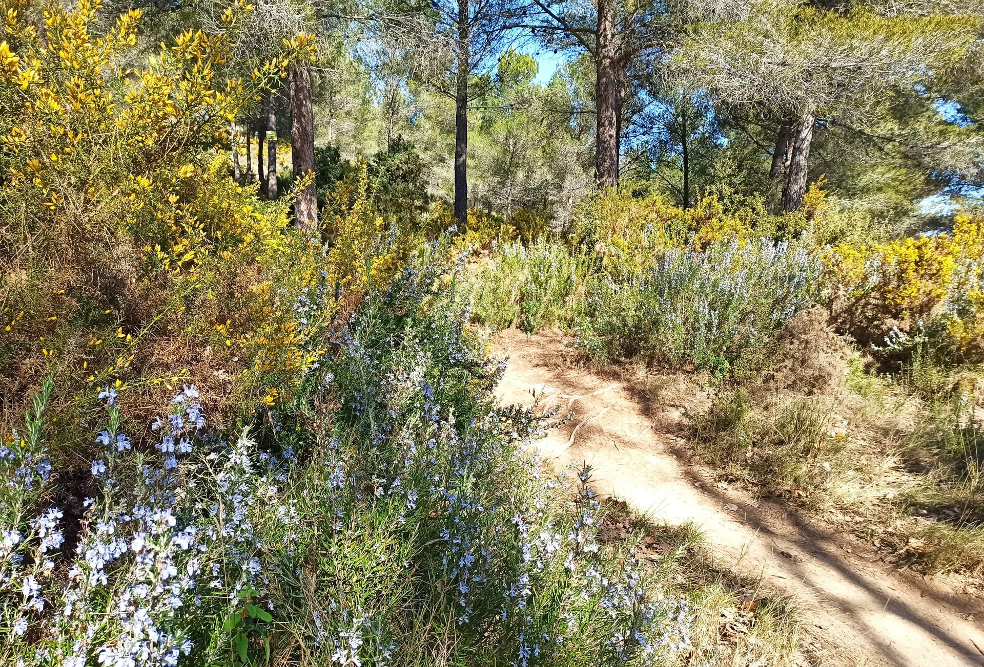 Boucle de Figuerolles - photo 5