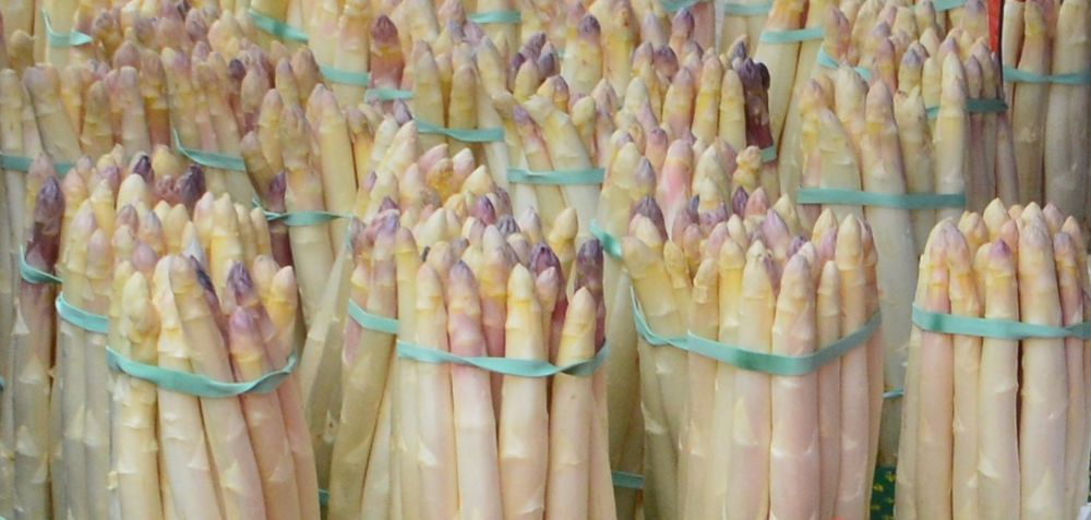 Asperge