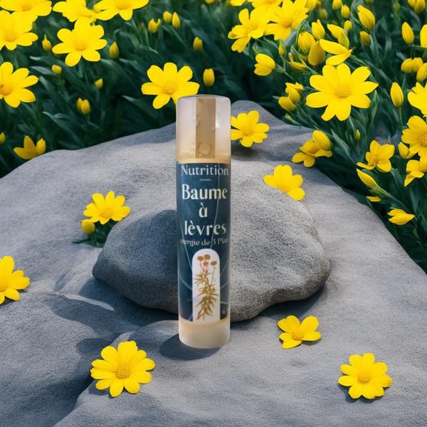 Baume à Lèvres Calendula Immortelle