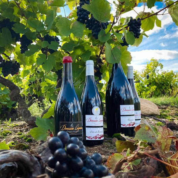 Domaine Lagneau_Quincié-en-Beaujolais