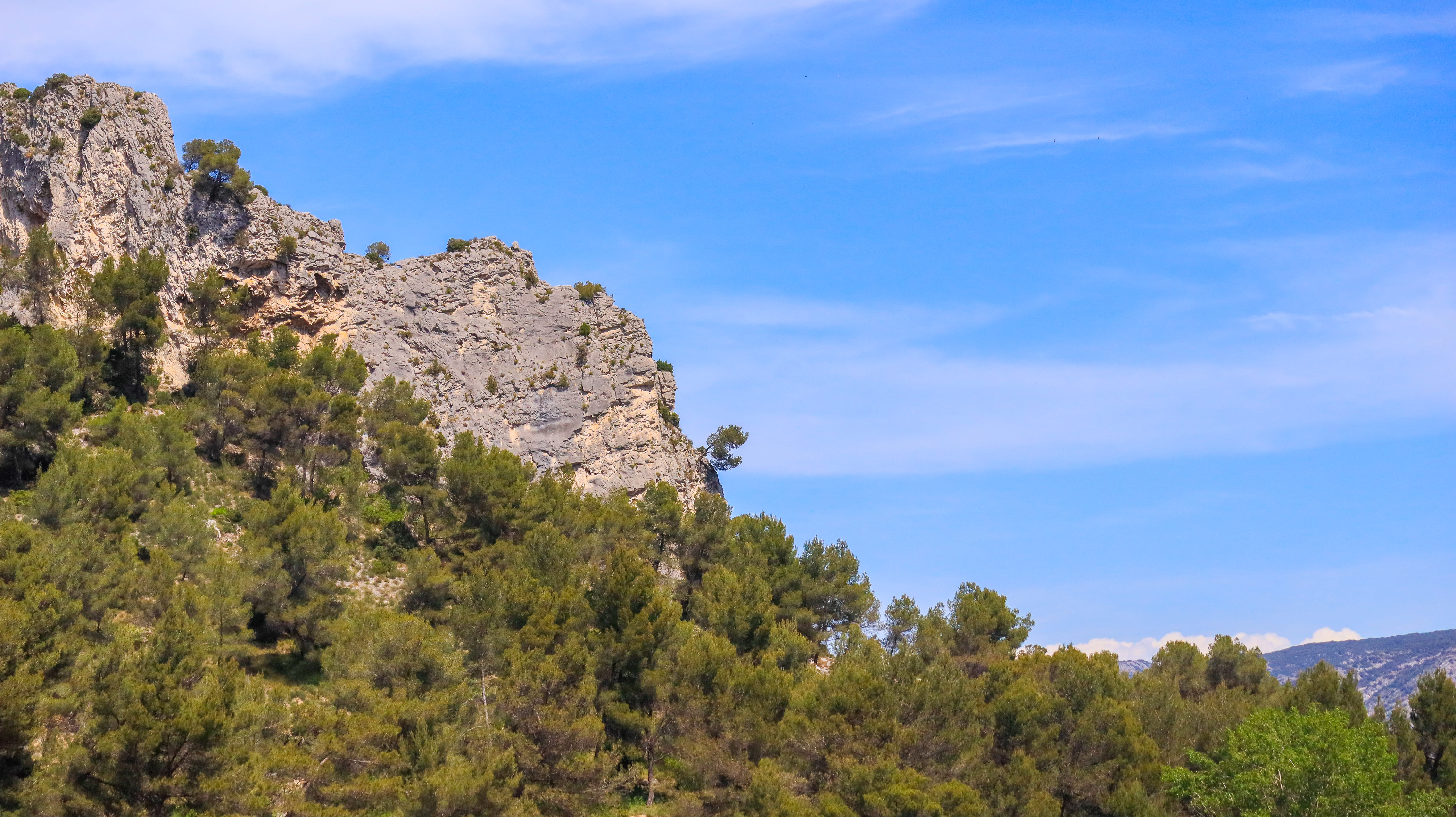 Lac de Lavau, Orgon - photo 7