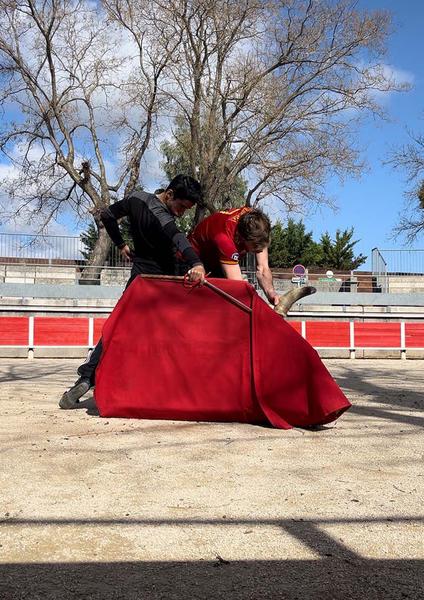 Initiation à l'art de la tauromachie