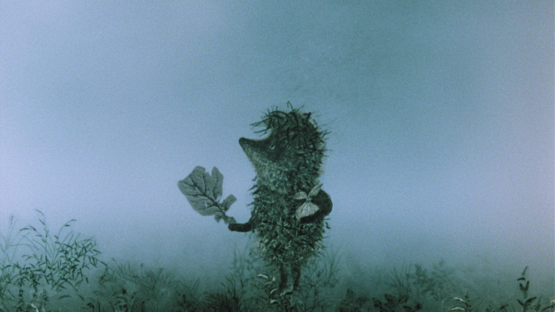 Le petit hérisson dans la brume / Atelier Thaumatrope