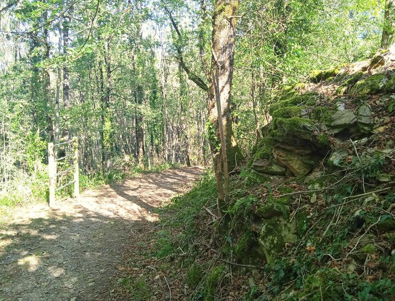 Chemin forêt sentier trésors de la Nature