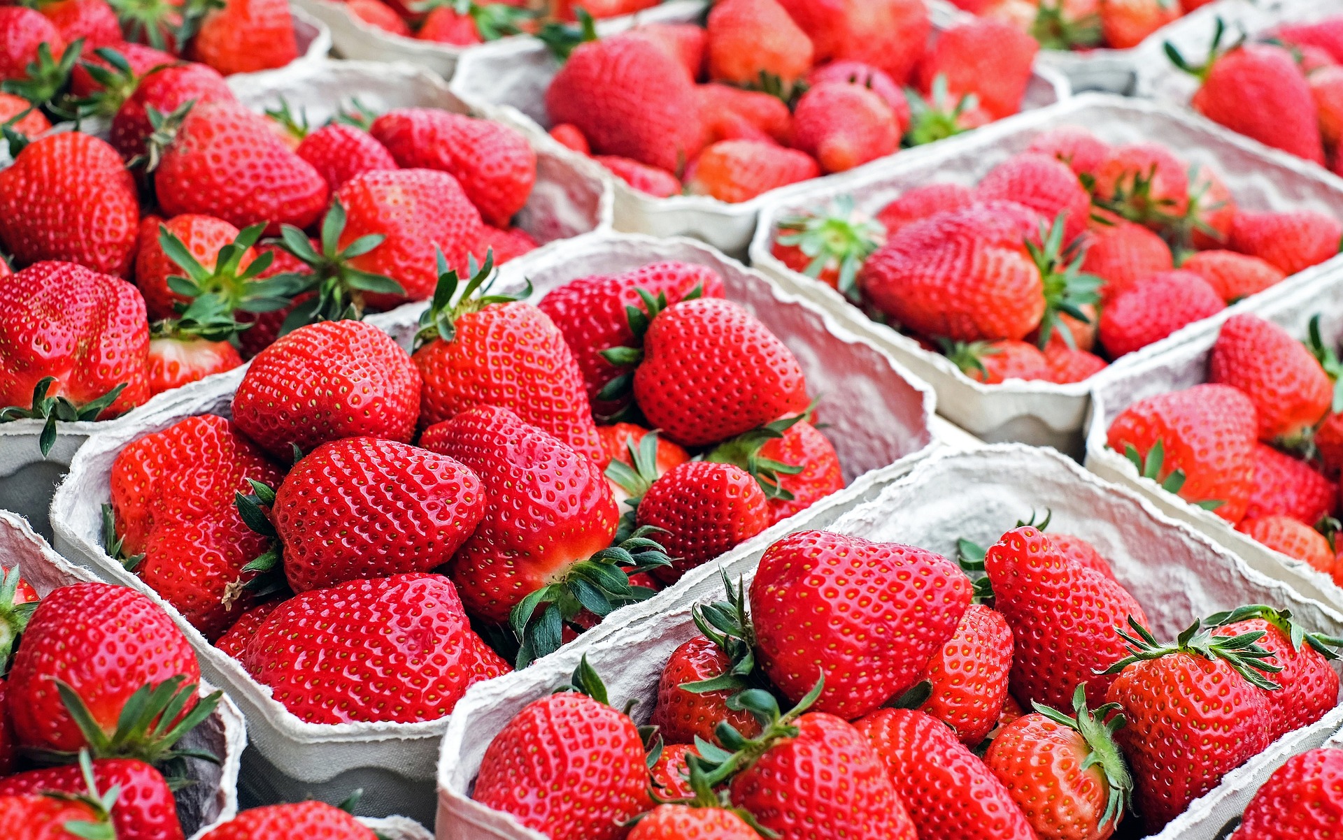 Marché gourmand au Safari de Peaugres