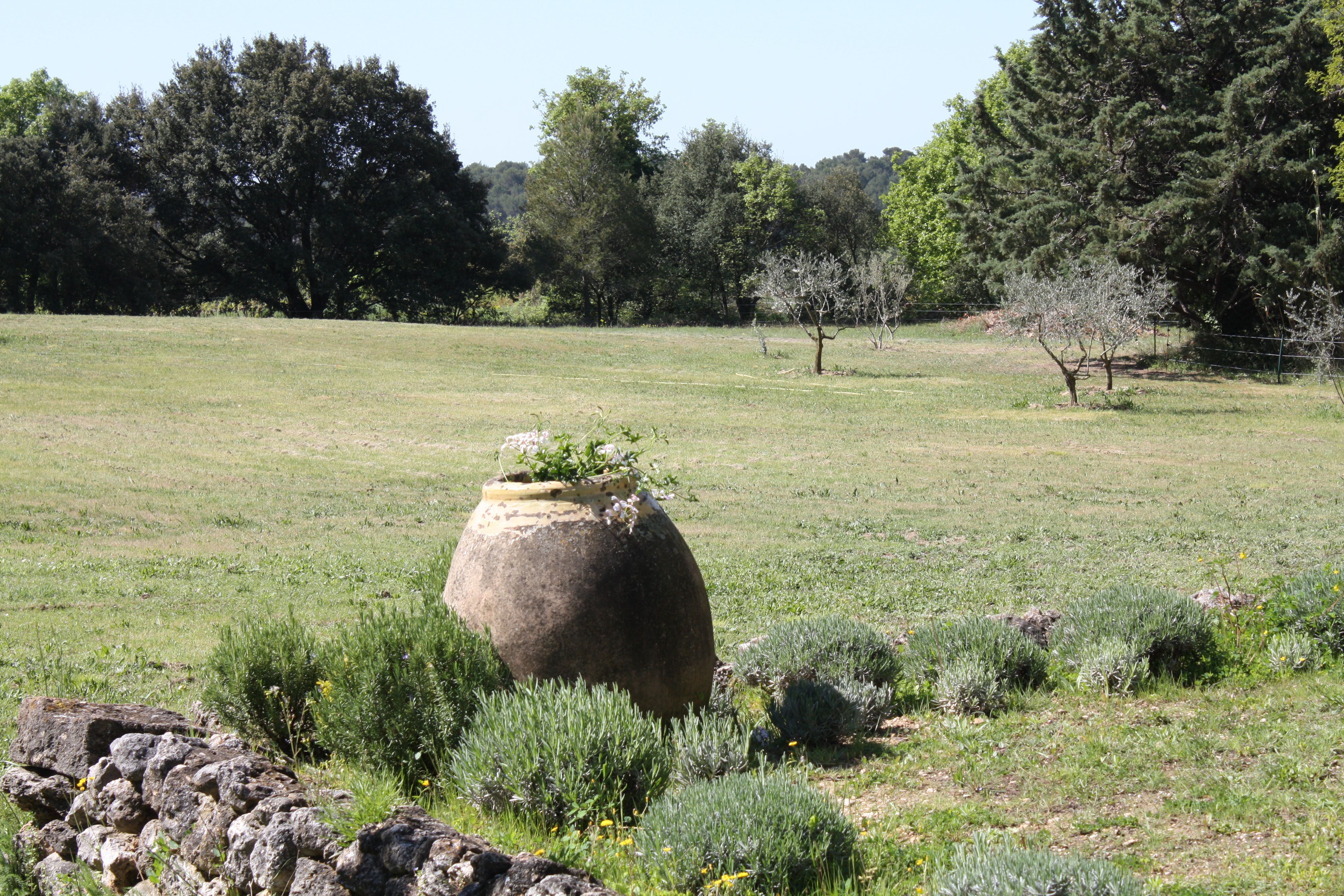 Le Mas Saint-Christophe - photo 4