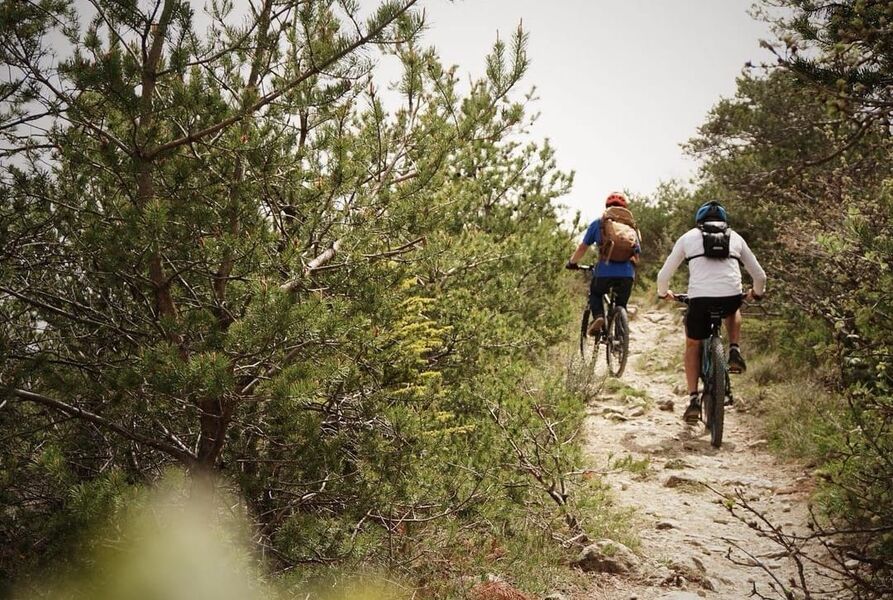 Adrien Tippett moniteur VTT