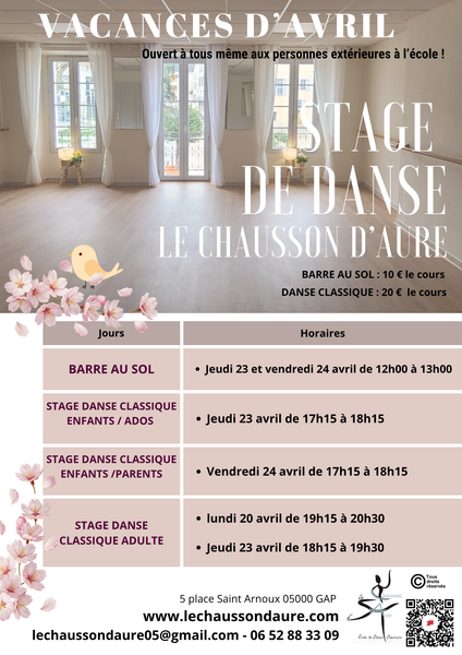 Stage de danse classique