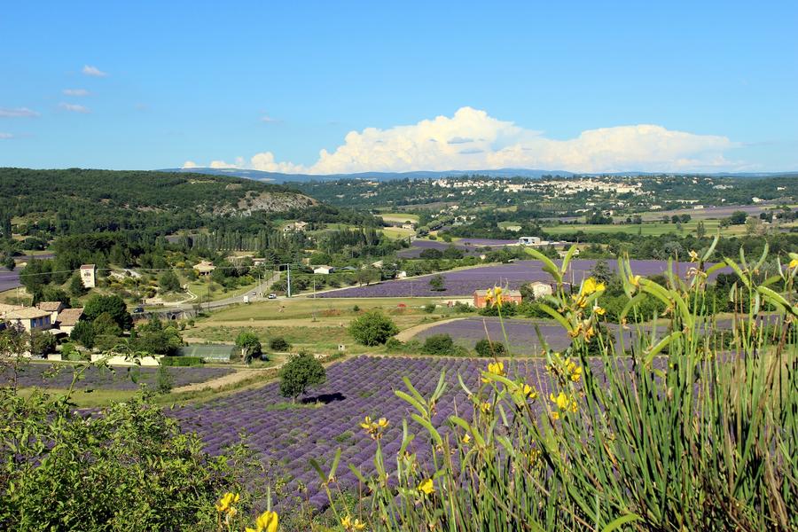 Le village de Sault