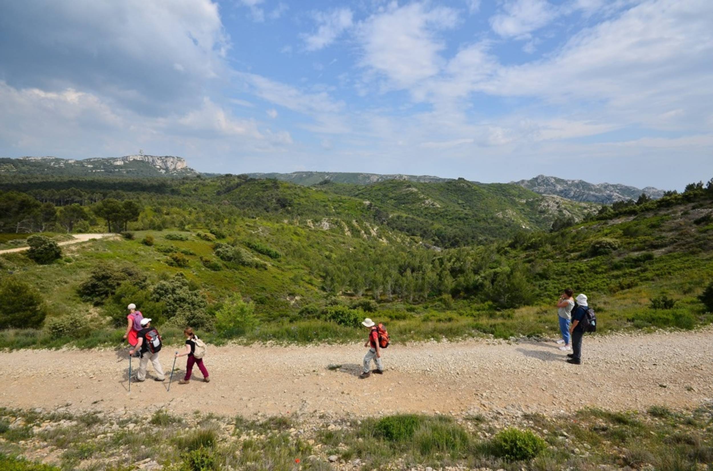 AUREILLE - La Vallongue, Aureille - photo 7
