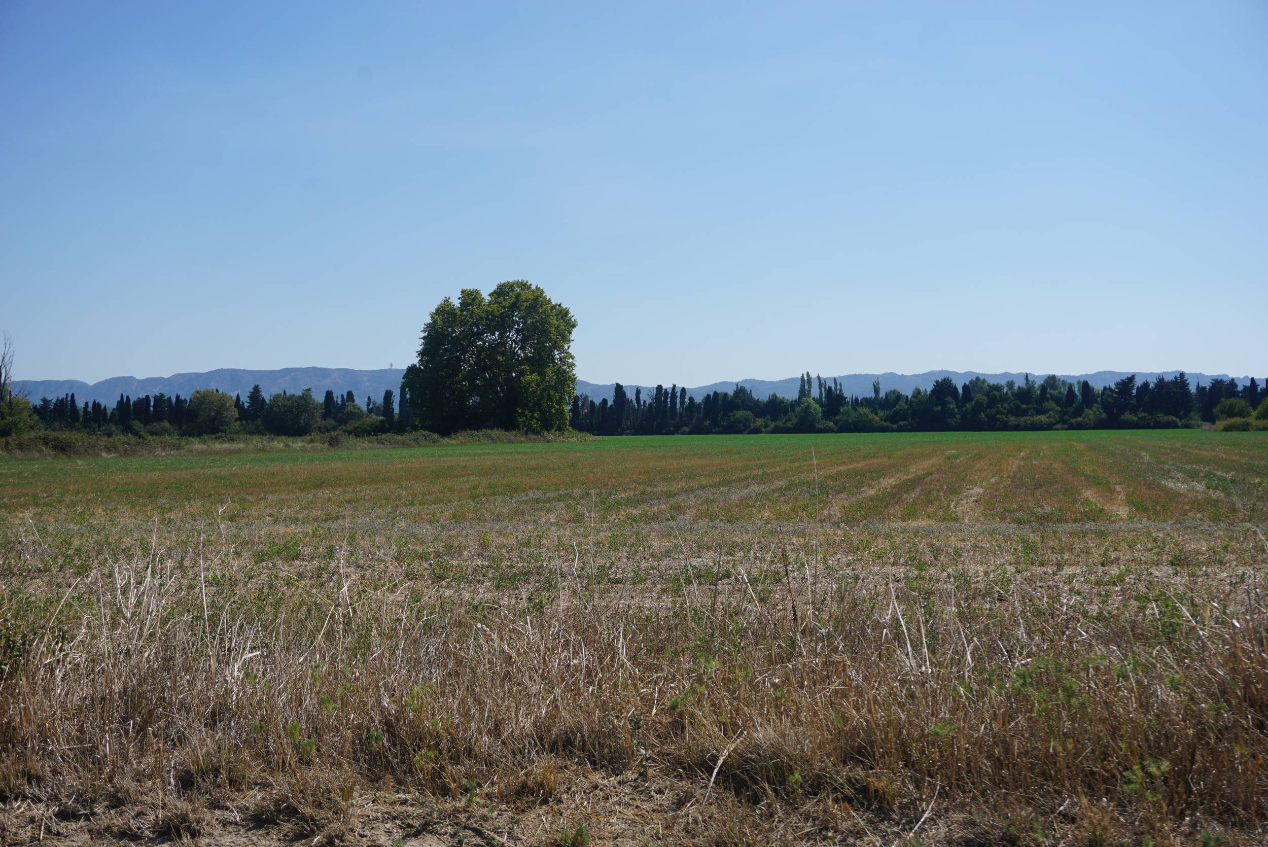SAINT-RÉMY-DE-PROVENCE - Les jardins de Mistral à vélo — photo 2