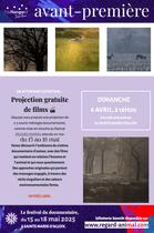 Visuel projection gratuite regard animal