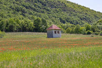 Lhuis Bugey
