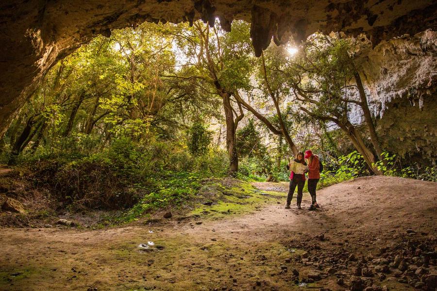 La Baume de Ronze_Orgnac-l'Aven
