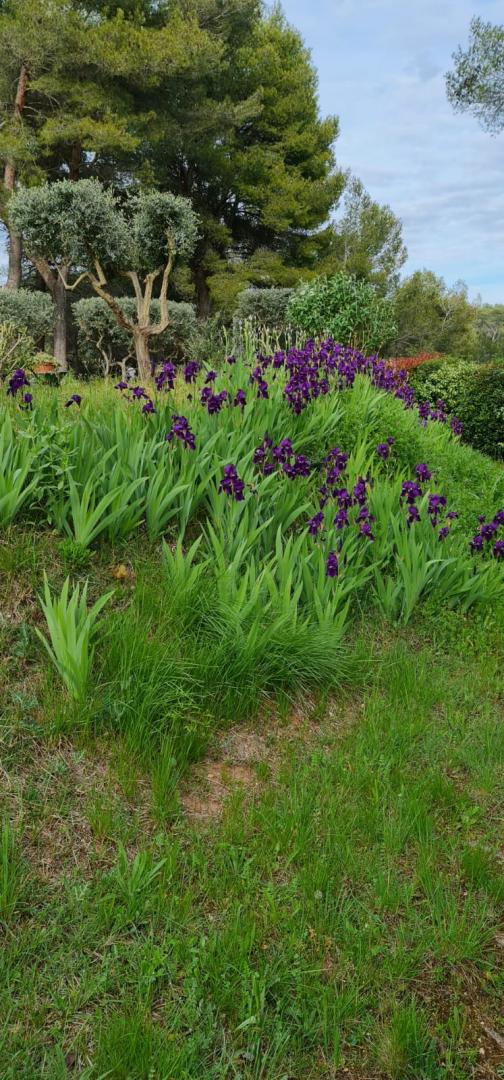 Les Hauts Pinchinats, Le Tholonet - photo 31