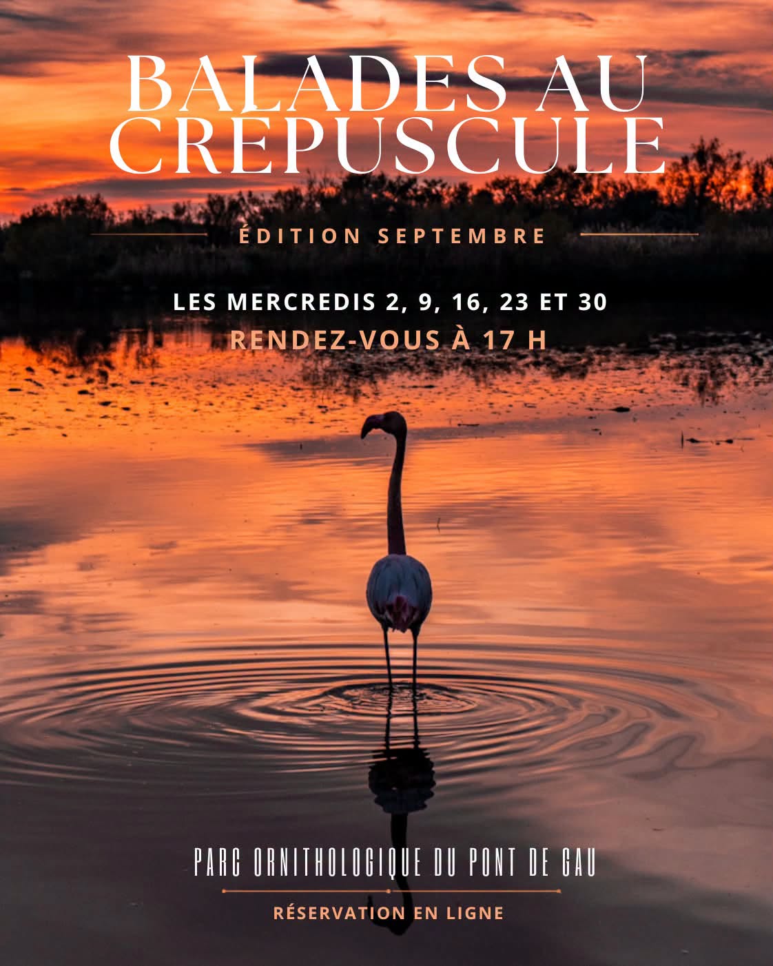 Balade au crépuscule – Edition septembre 2026