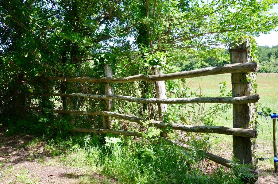 Balade nature : Balade commentée dans les marais de la Gripperie St-Symphorien