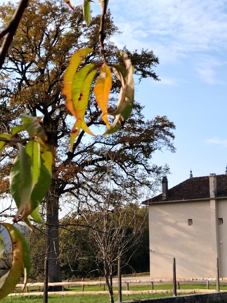 Gite le Vieux Chêne Lhuis