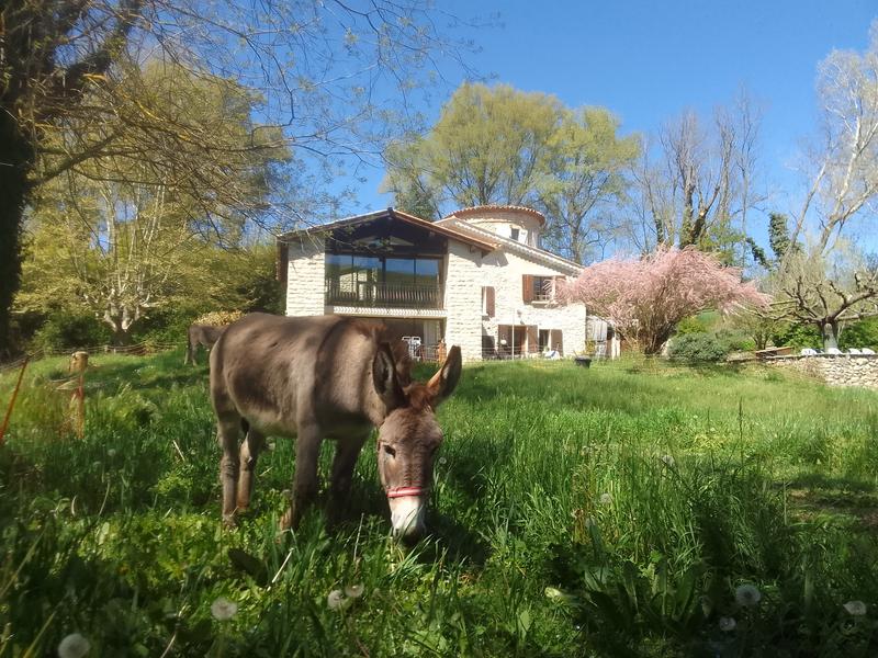 Les Favouilles - Chambres d'hôtes_Dauphin