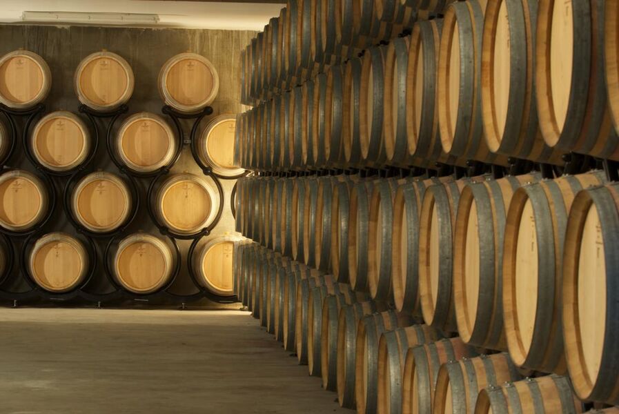 Marais de Lavours et vignobles du Bugey