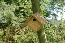 Atelier construction d'un nichoir à mésanges_Arcon