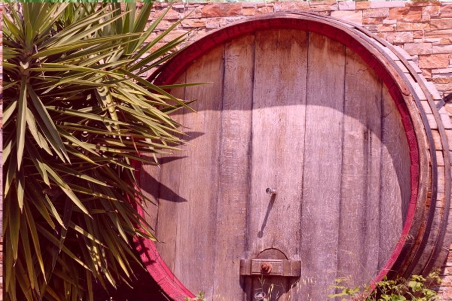 Vignobles de Bandol, Cassis, le Castellet