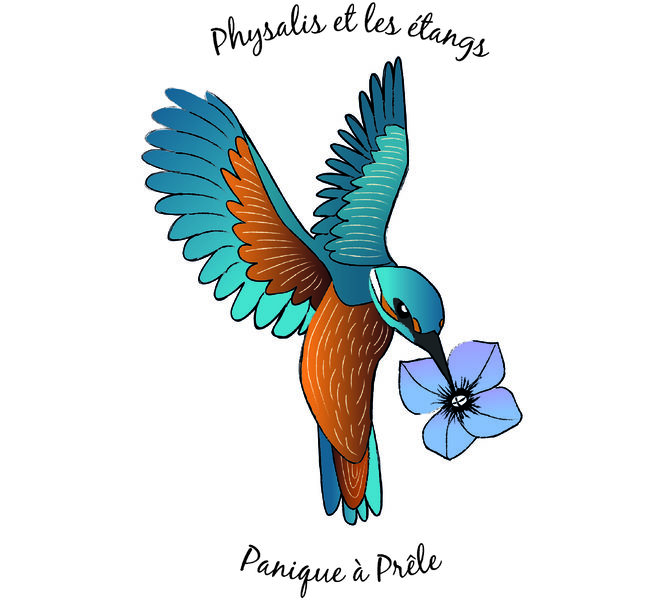 Physalis et les étangs