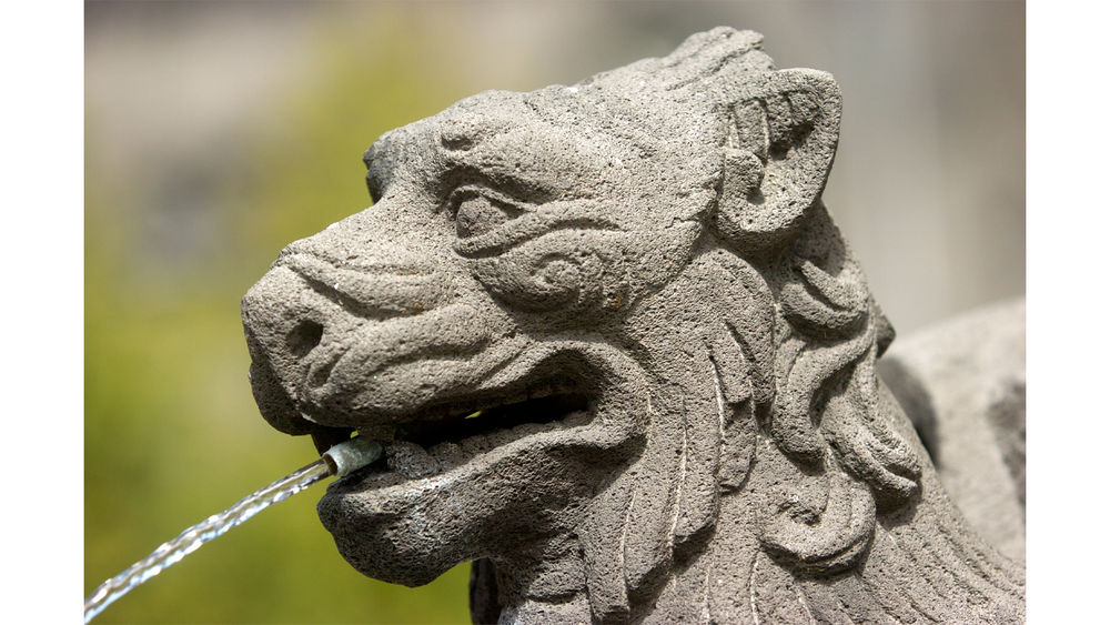 Clermont : le bestiaire de la butte - Spéciale jeune public