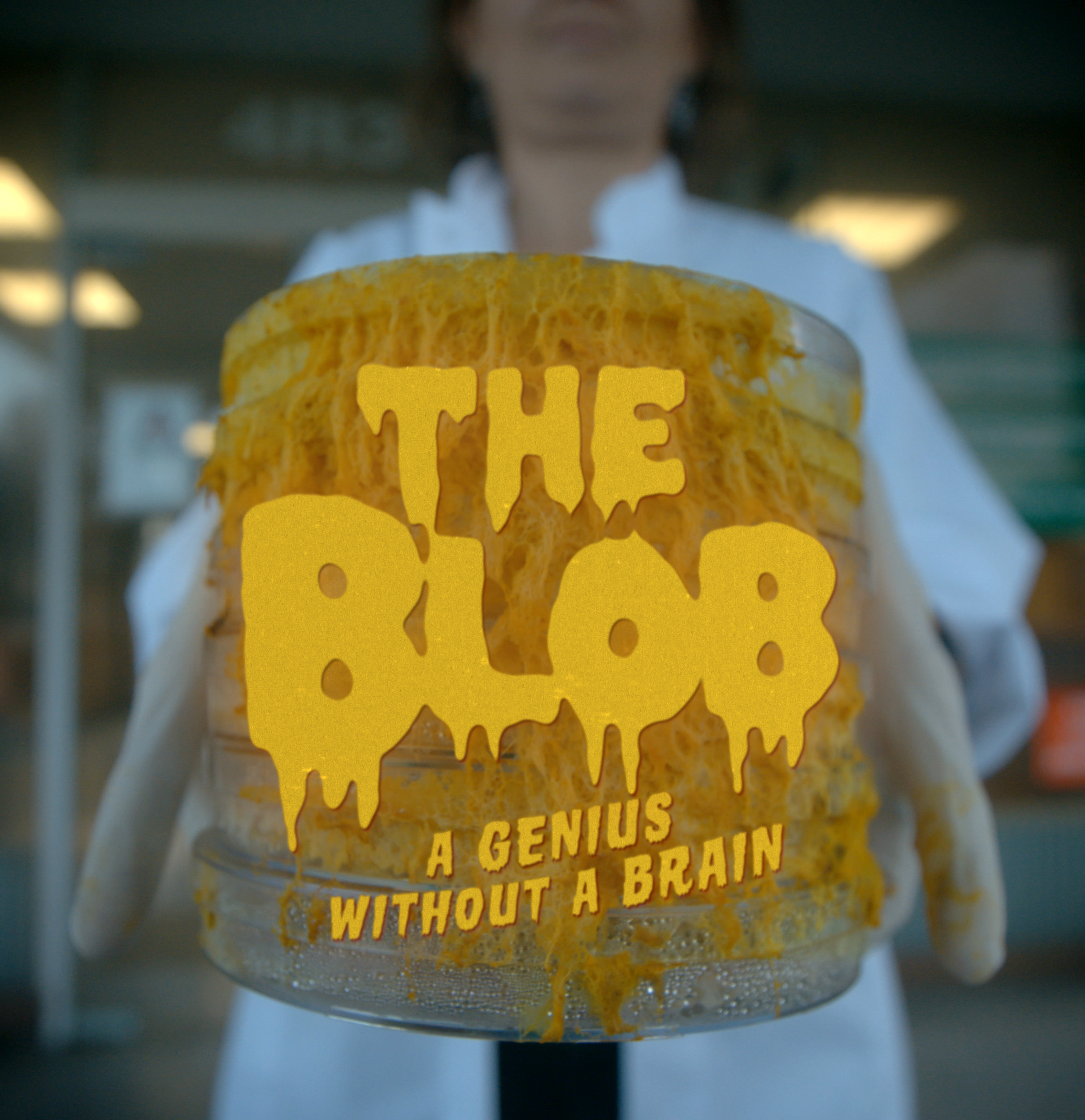 Projection du documentaire « Le Blob, un génie sans cerveau » de Jacques Mitsch