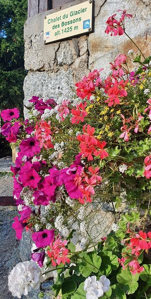 L'arrivée au Chalet