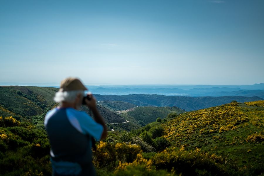 Observation des rapaces sur le plateau de Montselgues