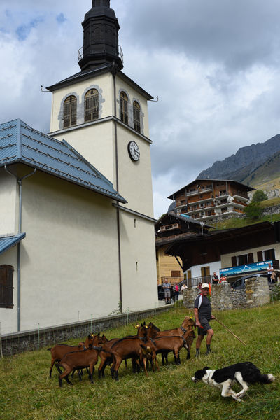 Fête des alpagistes