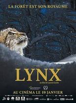 Ciné-nature au Clap - Lynx_Lans-en-Vercors