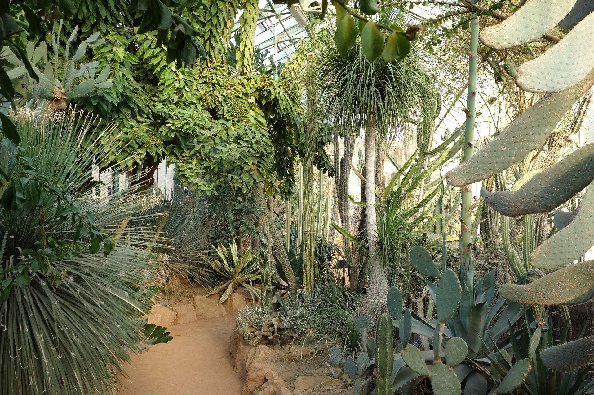 serre tropicale