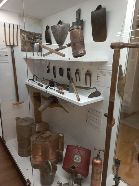 Musée de la fleur - Ollioules