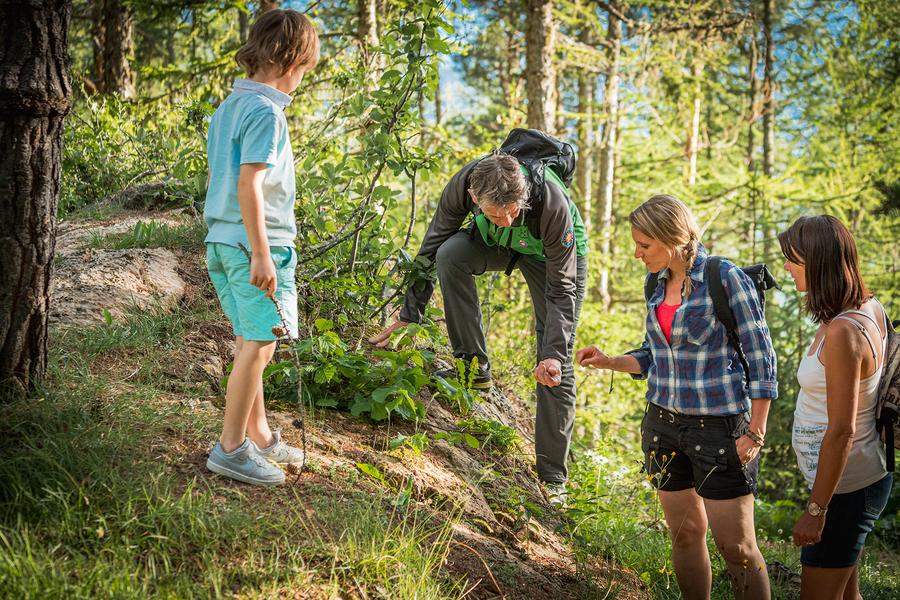 Maison de la Randonnée en Vanoise / Alain Peker_Notre-Dame-du-Pré
