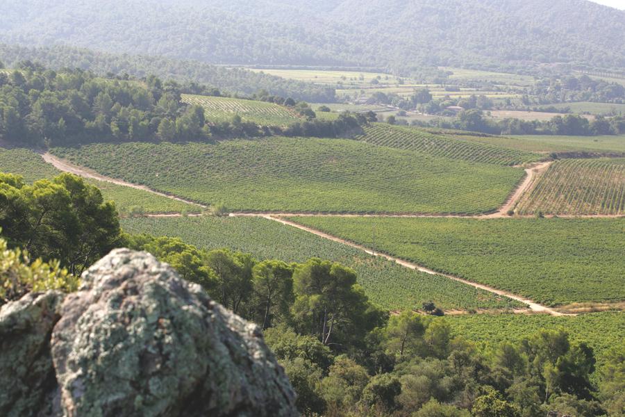Château La Gordonne Pierrefeu du Var